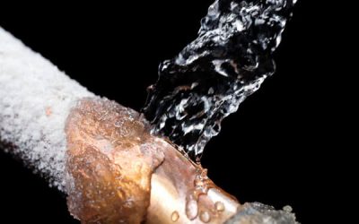 Water Damage Dos and Don’ts