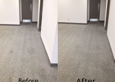 Commercial Carpet Cleaning