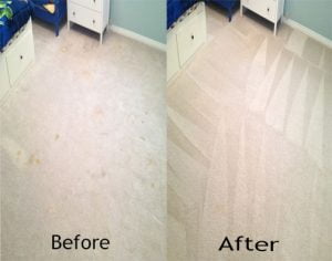 Area Rug Cleaning