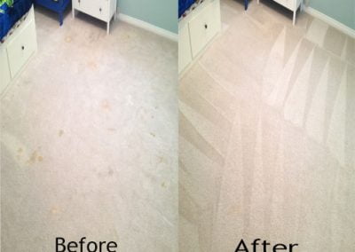 Area Rug Cleaning