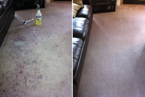 Carpet Cleaning Brampton, Burlington, Milton, Hamilton, Oakville, Mississauga