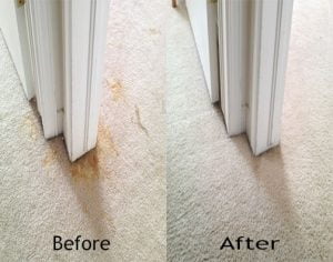 Mattress Cleaning