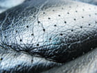 upholstery cleaning Brampton, Burlington, Milton, Hamilton, Oakville, Mississauga