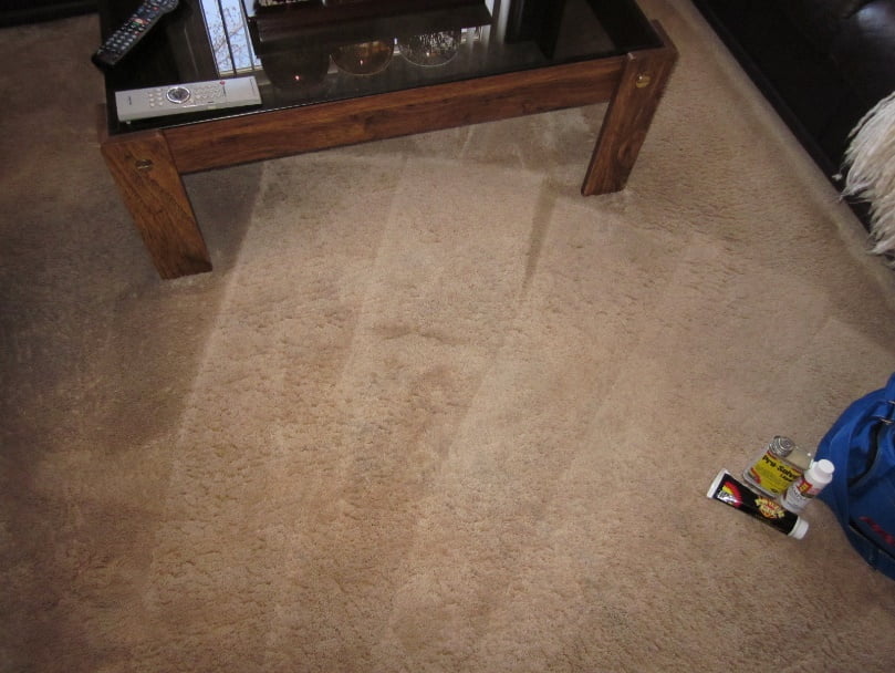 Royal Carpet Cleaning’s Stain Removal Techniques!