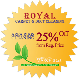 area rug cleaning Hamilton, Oakville, Mississauga