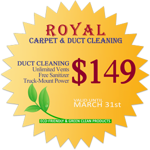 area rug cleaning Burlington, Milton, Hamilton, Oakville