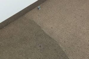 Commercial Carpet Cleaning