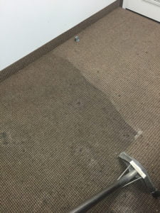area rug cleaning Brampton, Burlington, Milton, Hamilton, Oakville, Mississauga