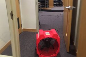 Commercial Carpet Cleaning