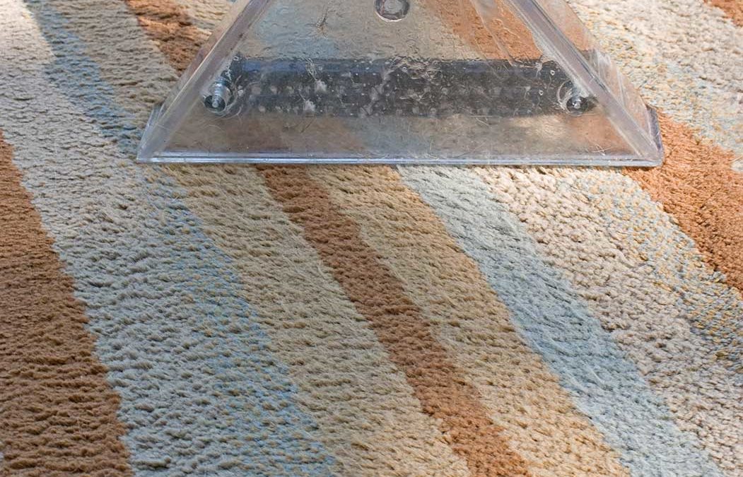 Why Area Rug Cleaning is Important