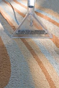 Area Rug Cleaning