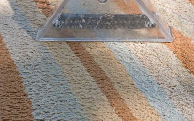 Why Area Rug Cleaning is Important