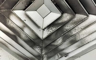 Should You Have Your Ducts Cleaned?