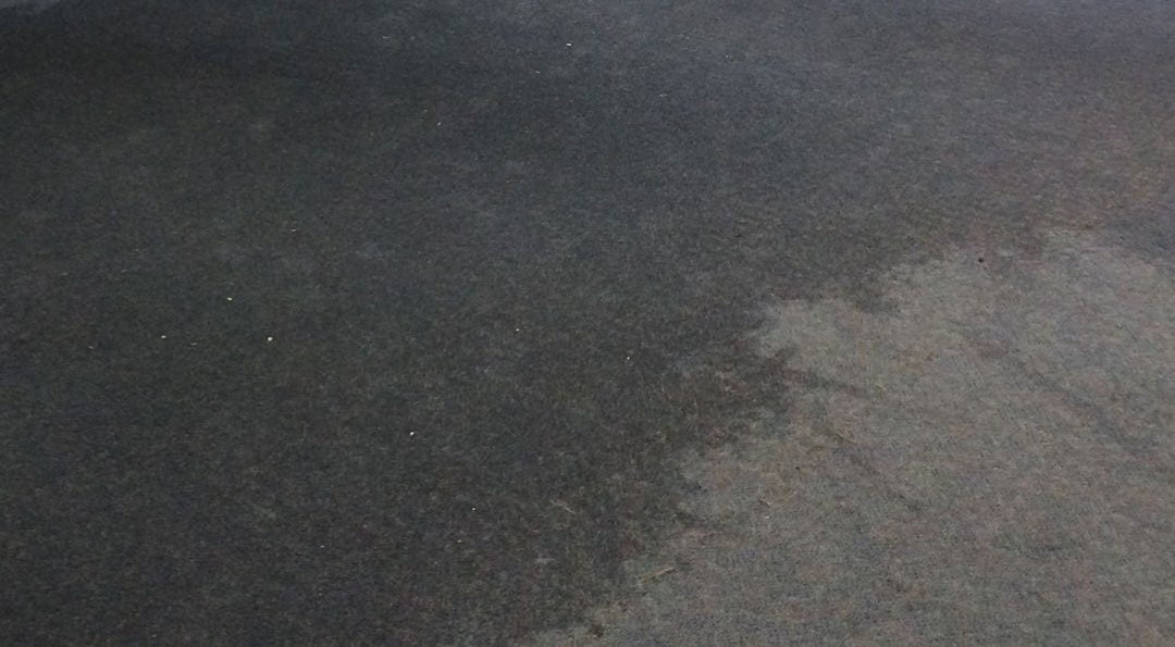 Caring For Water-Damaged Rugs and Carpet