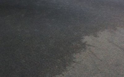 Caring For Water-Damaged Rugs and Carpet