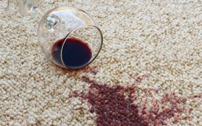 Blotting vs. Scrubbing: A Quick Guide to Stain Removal