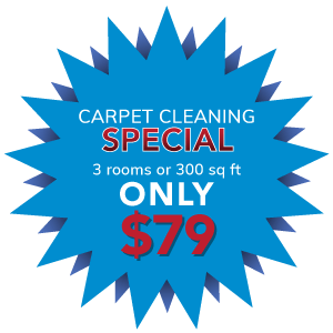 carpet cleaning Hamilton