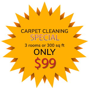 commercial carpet cleaning Brampton, Burlington, Milton, Hamilton, Oakville, Mississauga