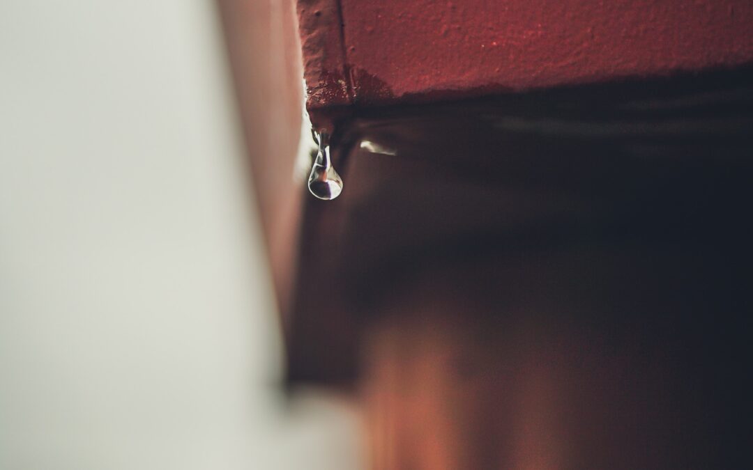 Water Emergency? What to Do Until Help Arrives