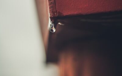 Water Emergency? What to Do Until Help Arrives
