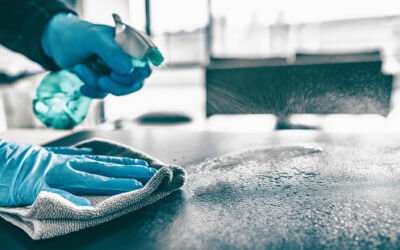 Whole Home Sanitization