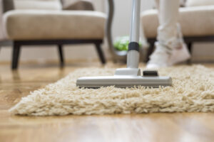 carpet and duct cleaning