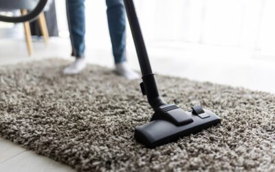 The Royal Clean Care Difference: Why Professional Carpet Cleaning Is Worth the Investment